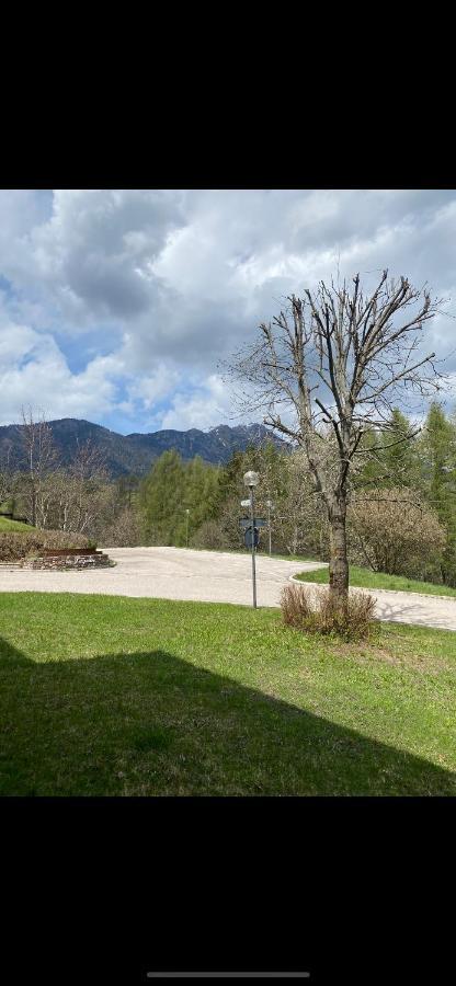 شقة Casa Gilda Val Di Fiemme - Dolomiti كافاليسِّ المظهر الخارجي الصورة